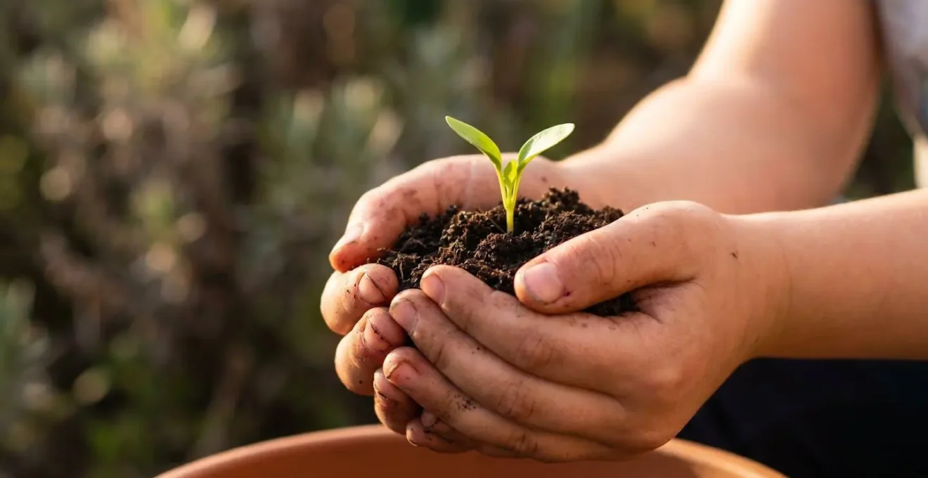 A child's hands carefully tending to a small seedling sprouting through soil, symbolizing resilience and personal growth